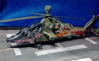 15 Jahre Tiger Sondermodell 1:72 gebaut von Peter Wagner 