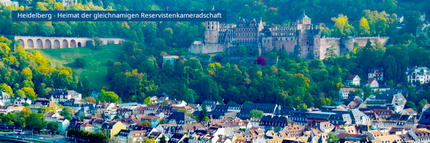 Das Bild zeigt den Neckar, die Altstadt von Heidelberg und das Schloss.