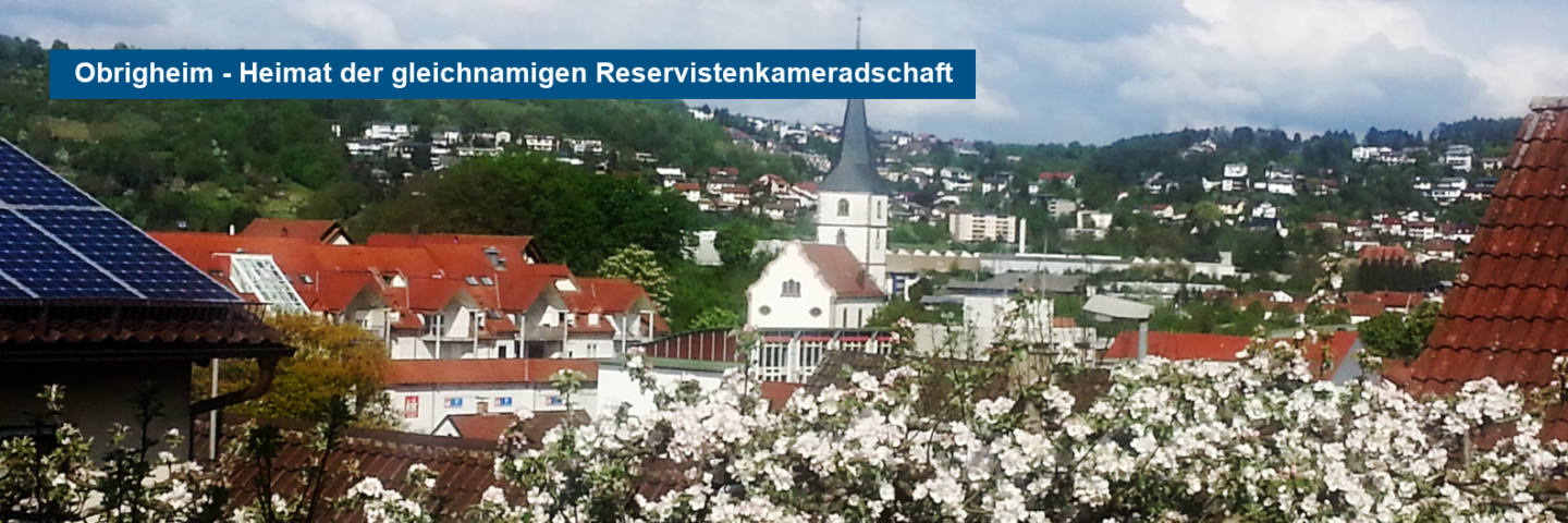 Das Bild zeigt einen Bick über die Gemeinde Obrigheim im Frühling.