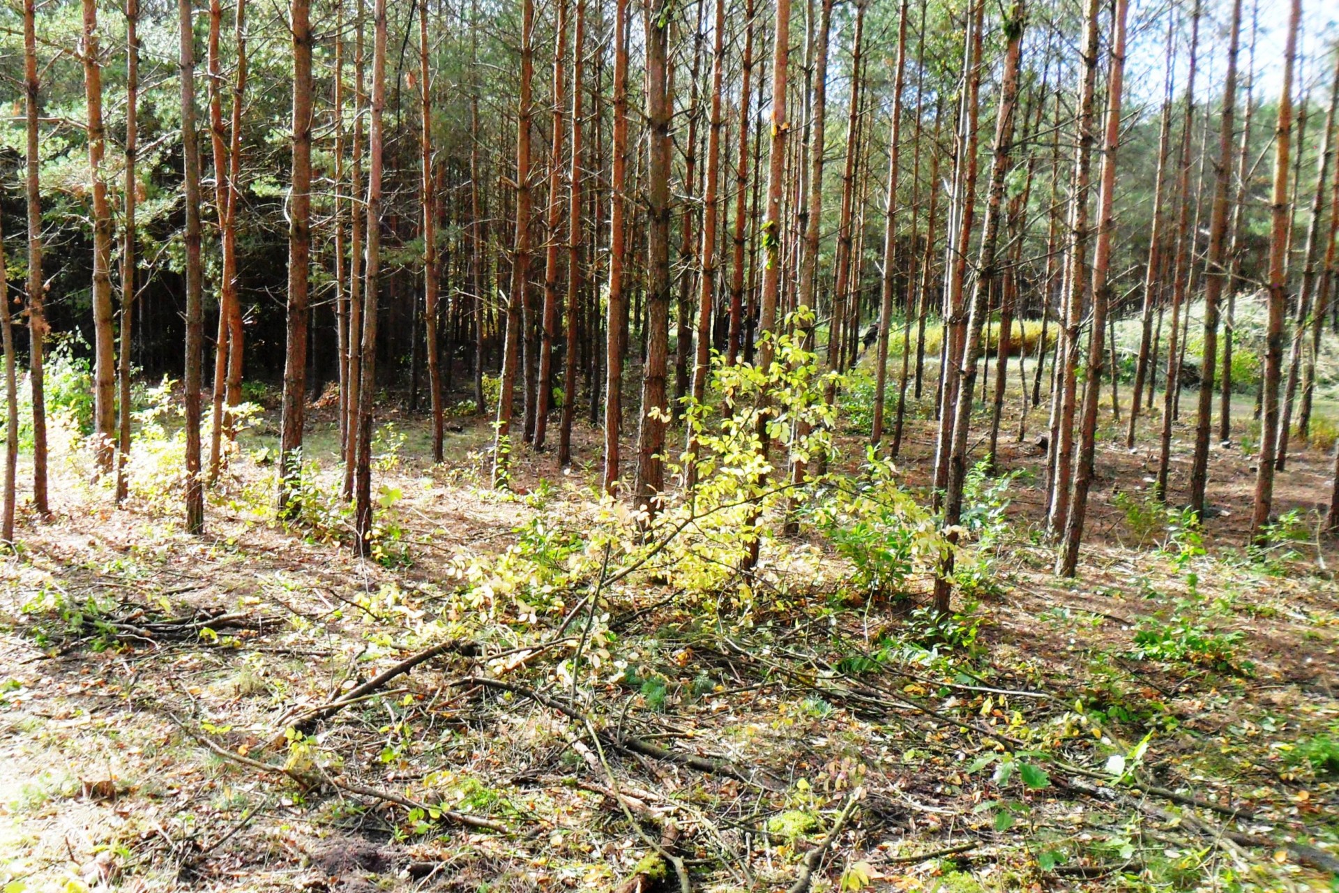 Gedenkstätte Bergen-Belsen